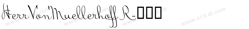 HerrVonMuellerhoff R字体转换